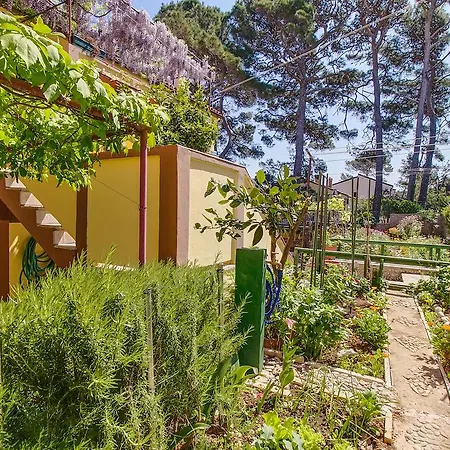 Appartamento Petra Mali Lošinj