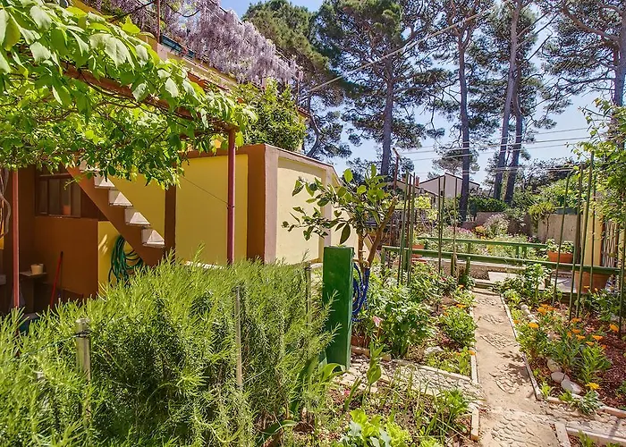 Apartman Petra Mali Losinj
