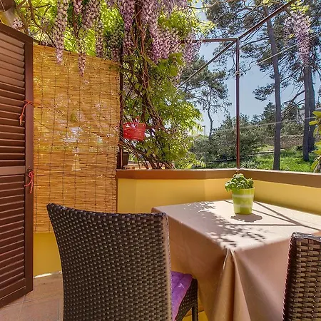 Petra Apartment Mali Losinj